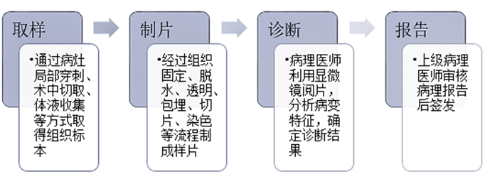 诊断“金标准”:病理诊断迎来发展新机遇(图3)