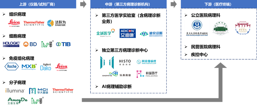 诊断“金标准”:病理诊断迎来发展新机遇(图4)
