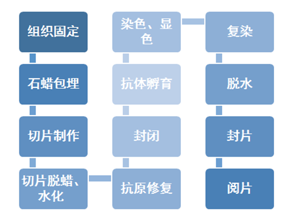 诊断“金标准”:病理诊断迎来发展新机遇(图13)