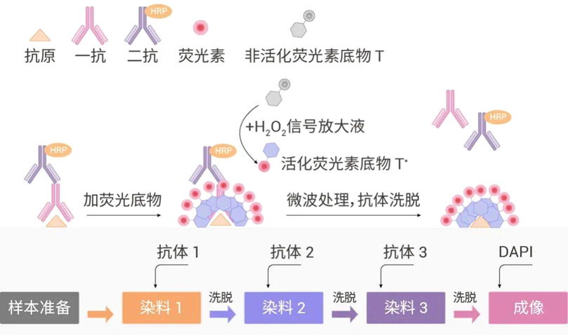 诊断“金标准”:病理诊断迎来发展新机遇(图28)