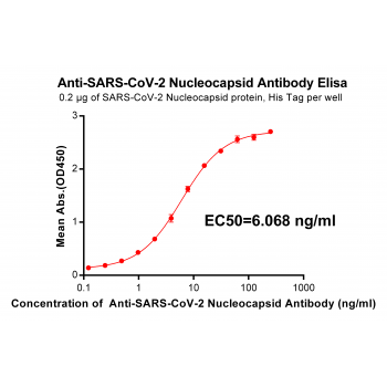 Anti-SARS-CoV-2 Nucleocapsid a