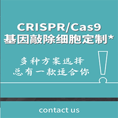 提供基因移码敲除技术服务