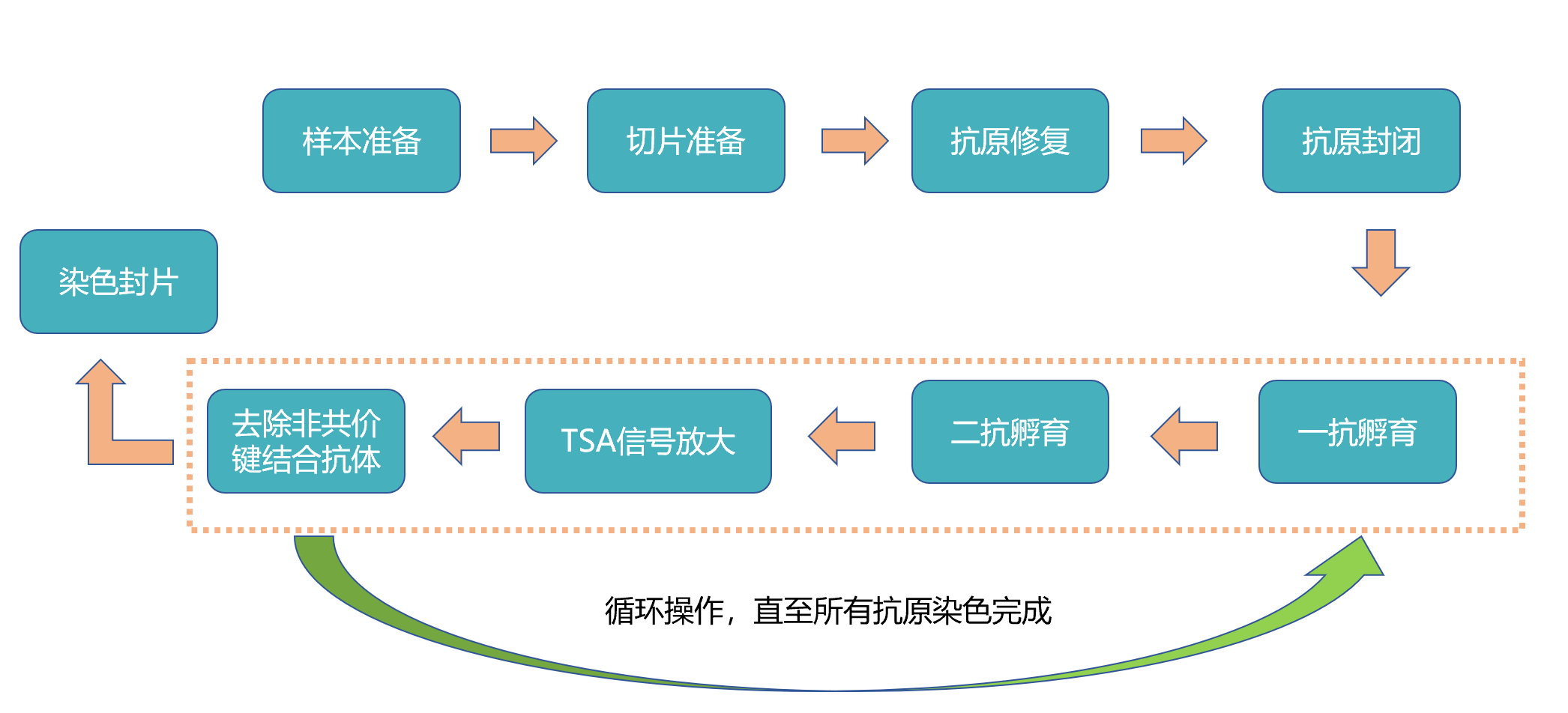 九色多重免疫荧光试剂盒Plus版（兔二抗）（RC0086Plus-89R）(图1)