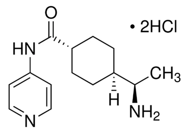 1743406897361.jpg