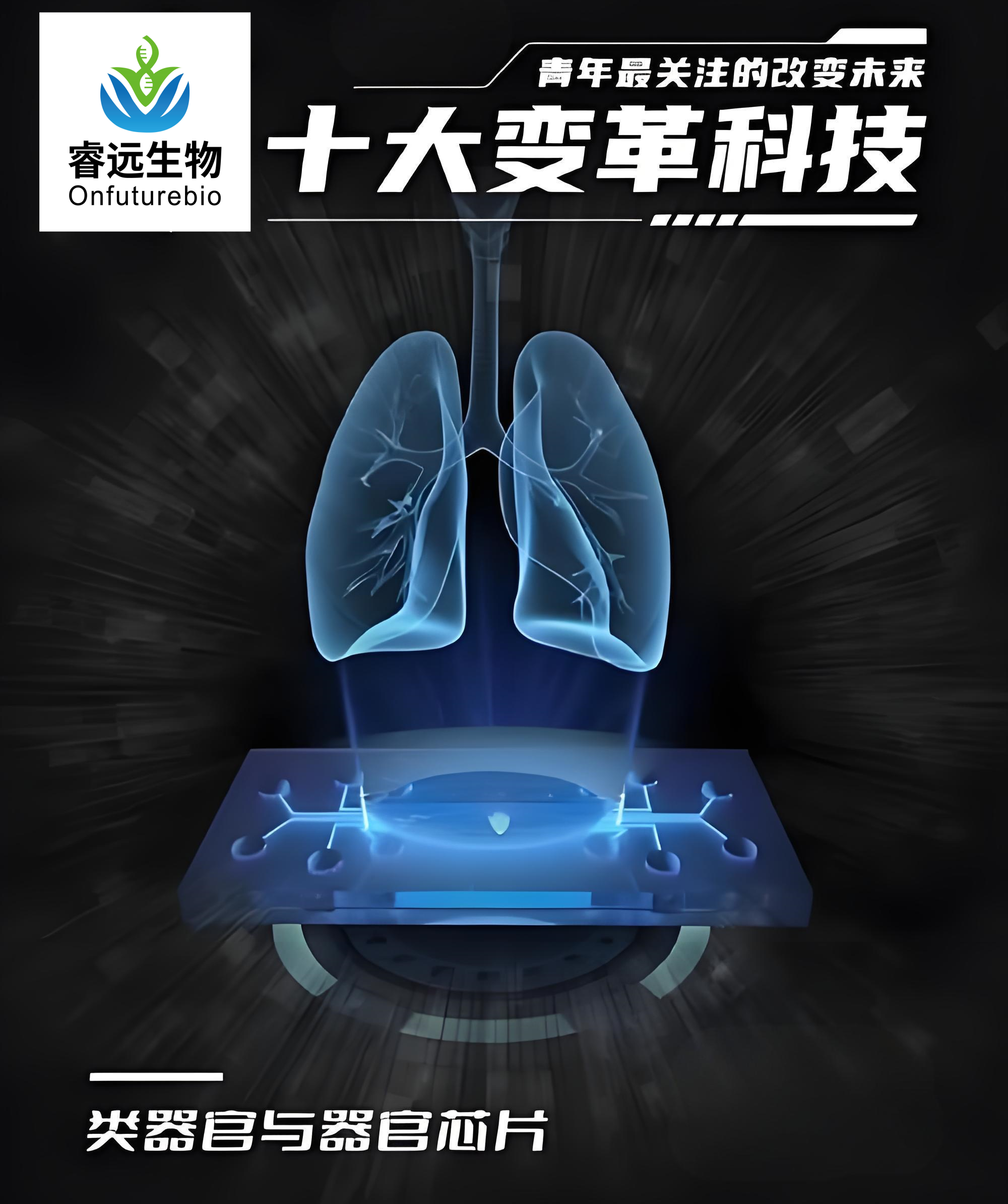 f32b57b2-e4b7-4308-931a-17e67b30552a_副本.png