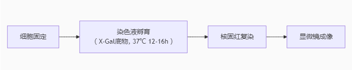 1746595346737.png