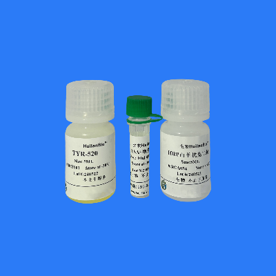 单标信号放大试剂盒(tyr520/兔鼠通用)<RC00