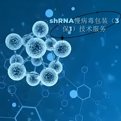 提供shRNA慢病毒包装（3保1）技术服务