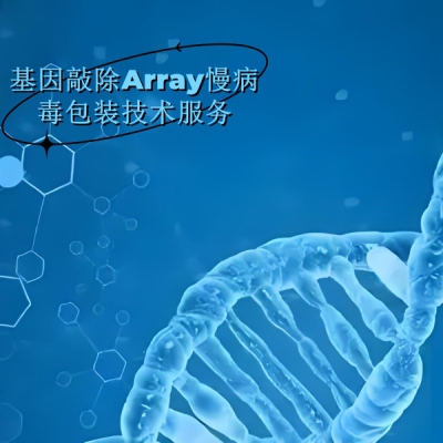 提供基因敲除Array慢病毒包装技术服务