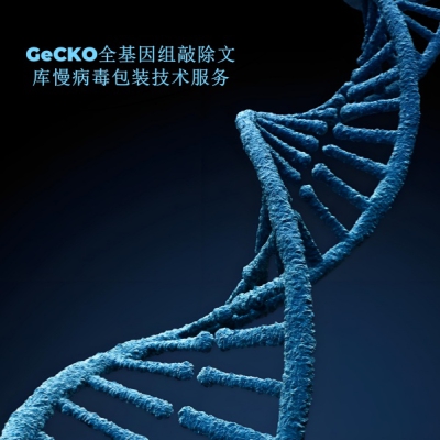 提供GeCKO全基因组敲除文库慢病毒包装技术服务