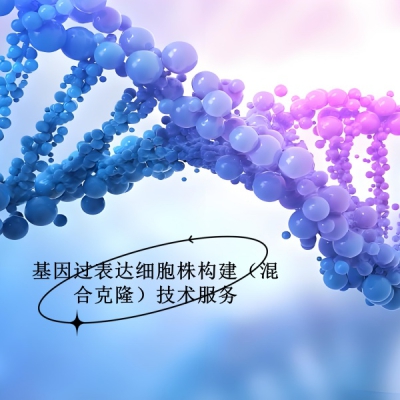 提供基因过表达细胞株构建（混合克隆）技术服务