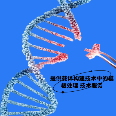 提供载体构建技术中的模板处理 技术服务
