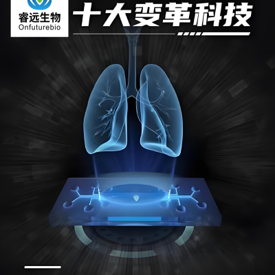 <strong>FDA加速淘汰动物试验！类器官与AI技术</strong>