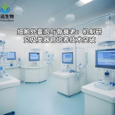 细胞外囊泡与骨衰老：机制研究及类器官培养技术突破