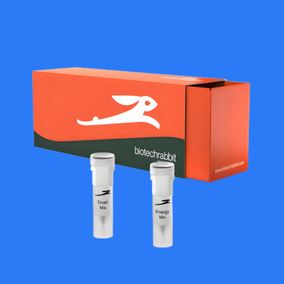 <strong>BR1401601/RTS DnaK Supple</strong>